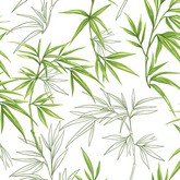 Зелёный бамбук