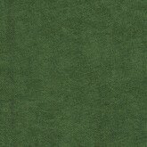 Канвас зелёный