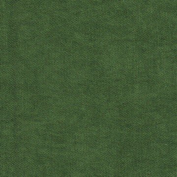 Канвас зелёный