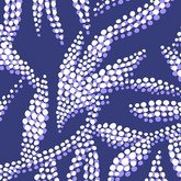 Ночные цветы