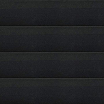 Павловния черный