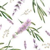 Лавандовое поле