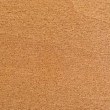 Дерево клен