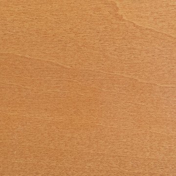 Дерево клен