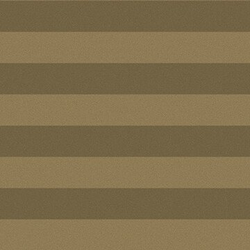 Сити шампань