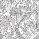 Тропический лес