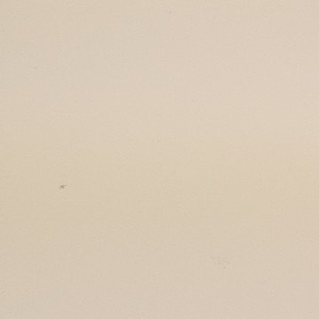 Дерево отбеленный