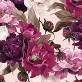 Великолепные пионы