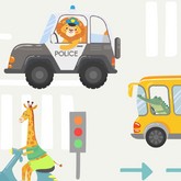 Дорожные правила