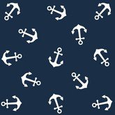 Морские якори