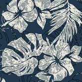 Лунное сияние